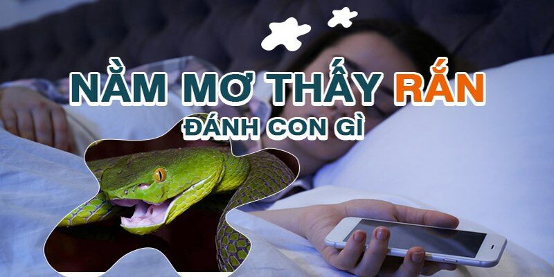 Giải mã giấc mơ thấy rắn chi tiết và đầy đủ nhất