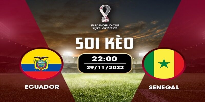 Nhận định tình hình, phong độ giữa Ecuador vs Senegal