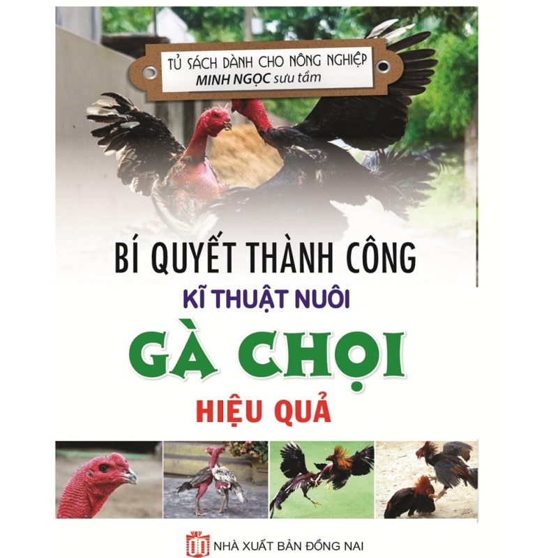 Bí quyết thành công kỹ thuật nuôi gà chọi hiệu quả